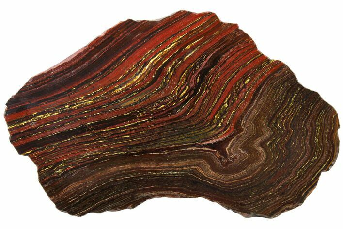 Polished Tiger Iron Stromatolite - Billion Years #129340